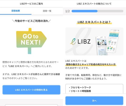 LIBZ登録の注意点