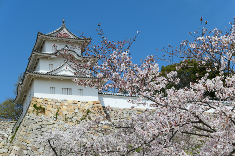 明石城と桜の風景