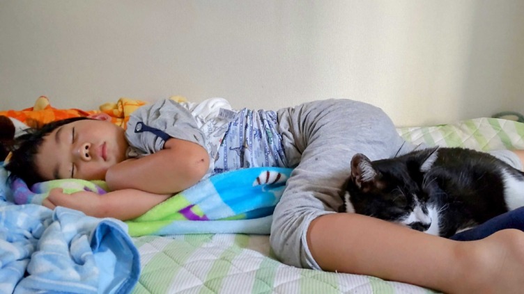 株式会社アニマライフのメンバーのお子様と飼っている猫が寝ている様子