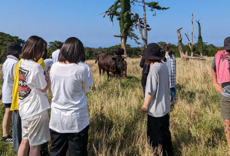 隠岐の島町にて、地域・教育魅力化プラットフォームの地域みらい旅（みらたび）で出会った牛