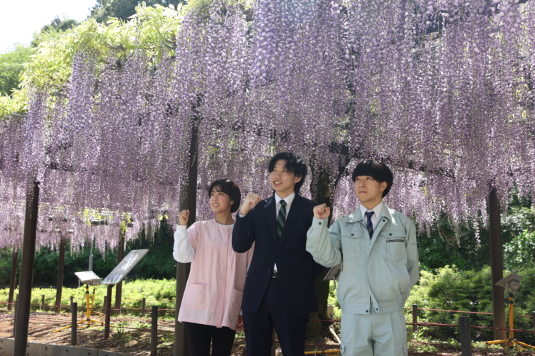 市の花 「藤」をバックに写真撮影する藤枝市役所の若手職員たち