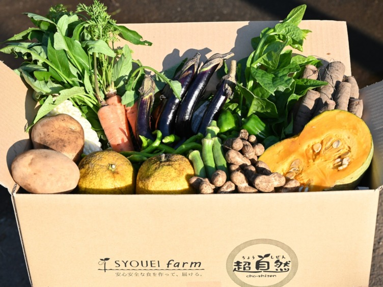 株式会社翔栄クリエイトが手掛けている自然循環型農業で育った野菜