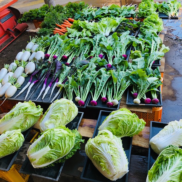 株式会社翔栄クリエイトの自然循環型農業で作られた野菜