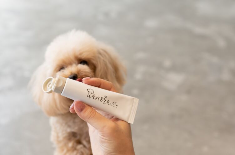 株式会社ユナイテッドリバーズで企画・販売している犬用歯磨きジェルワンオーラ