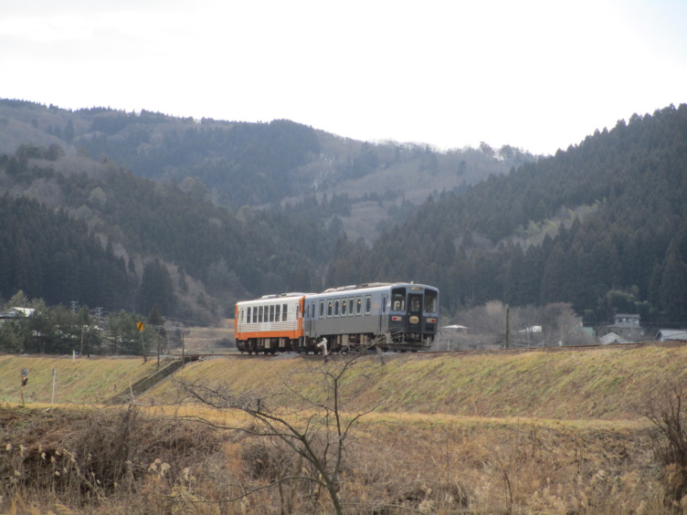 田園風景の中を連結した2両の電車が走っている様子